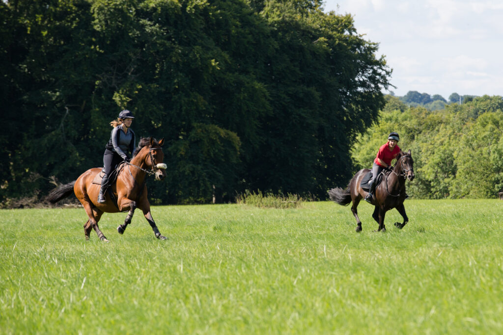 Equestrian Centre near Bath, Wiltshire Lucknam Park Hotel
