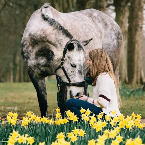 Horse Riding near Bath Lucknam Park Equestrian Centre